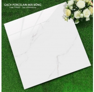 Gạch Porcelain mài bóng lát nền TT mã gạch TP 6903 gạch loại 1 kích thước 60x60