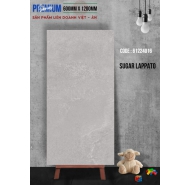 Gạch Porcelain men bóng cao cấp dày 9mm ốp lát APODIO mã gạch 61224016 gạch loại 1 kích thước 60x120
