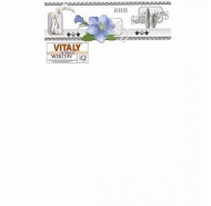 Gạch ốp tường kỹ thuật số VITALY - W26214V