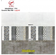 Gạch Ceramic men mờ ốp tường TTC mã gạch Bộ WM36015-16 gạch loại 1 kích thước 30x60