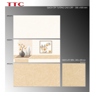 Gạch Ceramic men bóng ốp tường TTC mã gạch Bộ WB36075-76 gạch loại 1 kích thước 30x60